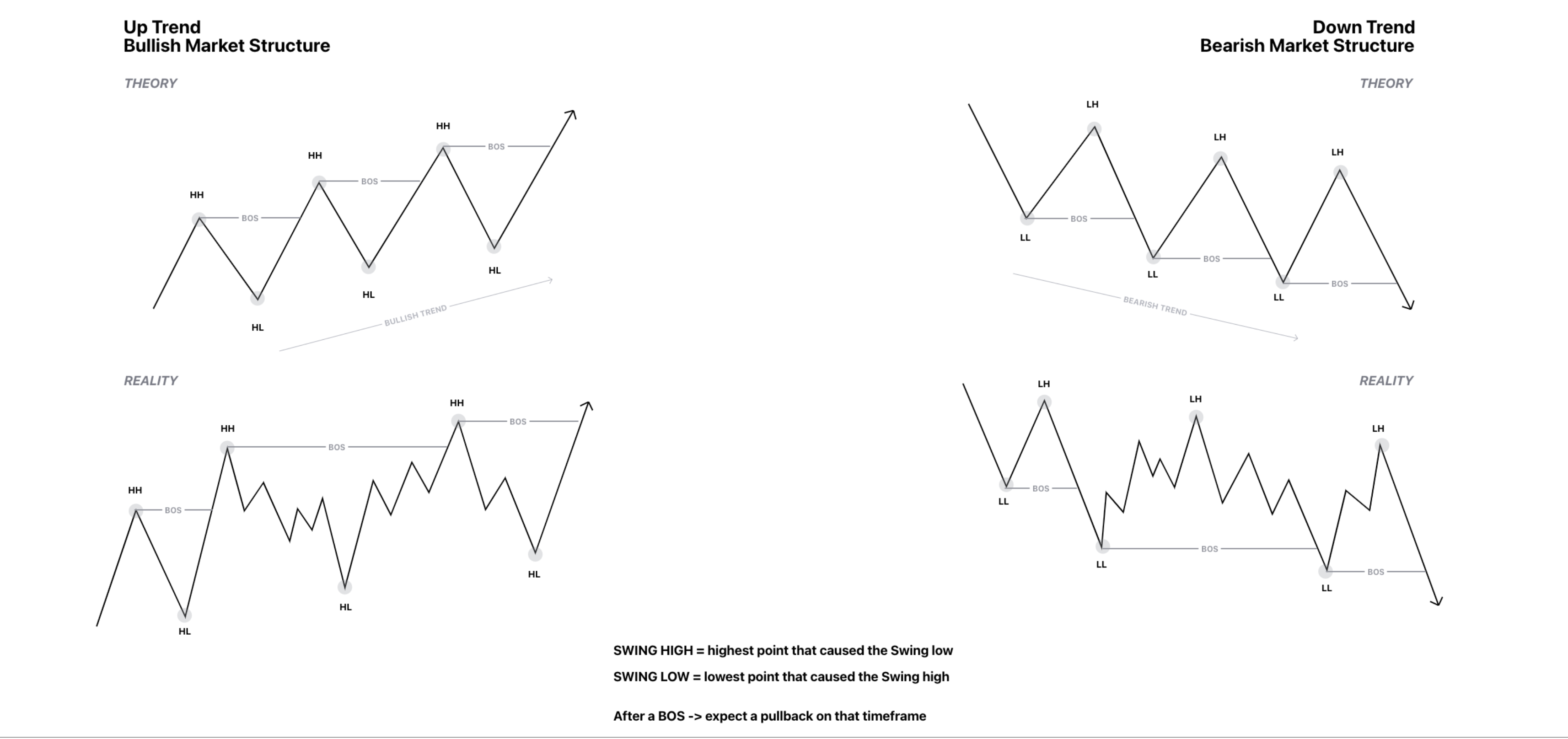 MS1.webp