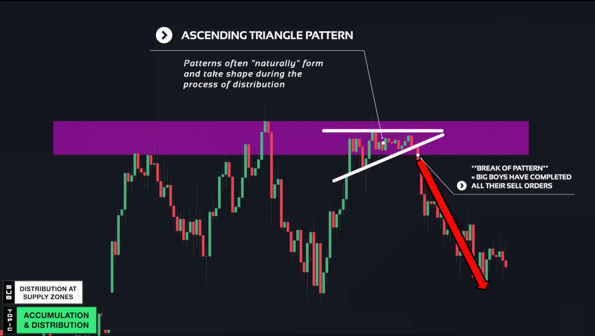 Supply & Demand (Wysetrade)-20241230125712606.webp