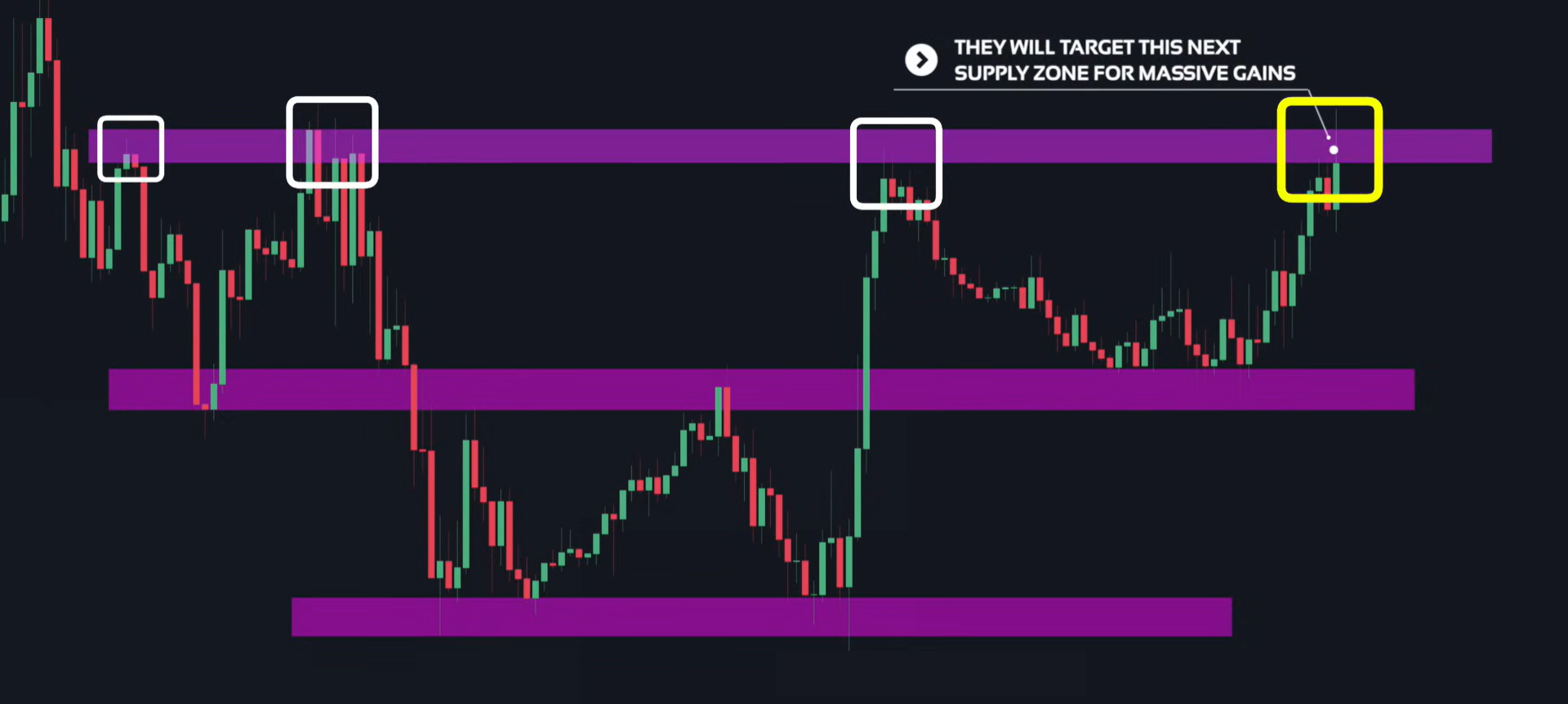 Supply & Demand (Wysetrade)-20241230131148087.webp