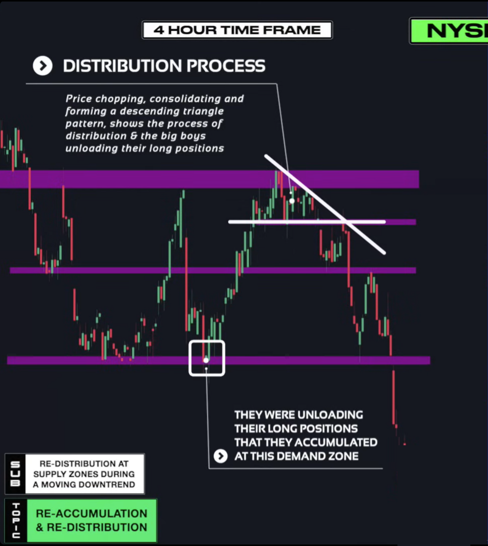 Supply & Demand (Wysetrade)-20241230131549064.webp