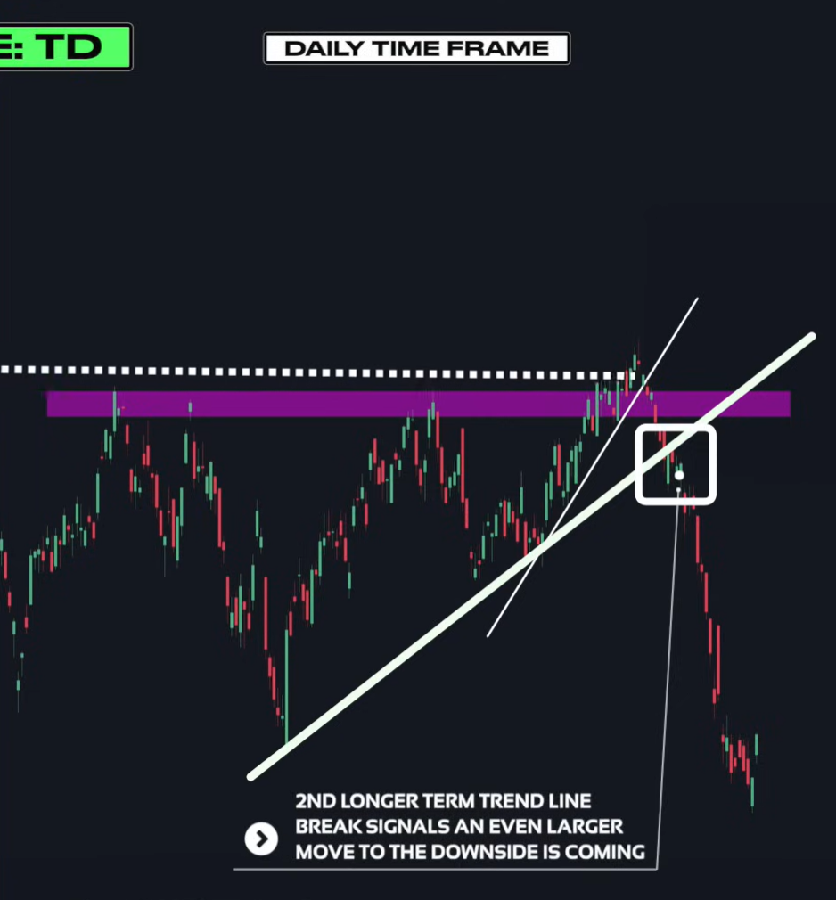 Supply & Demand (Wysetrade)-20241230142104214.webp