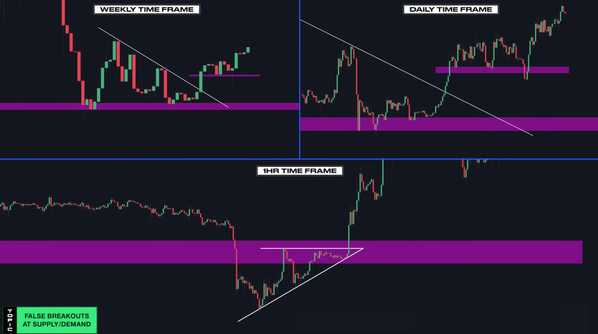 Supply & Demand (Wysetrade)-20241230142550470.webp
