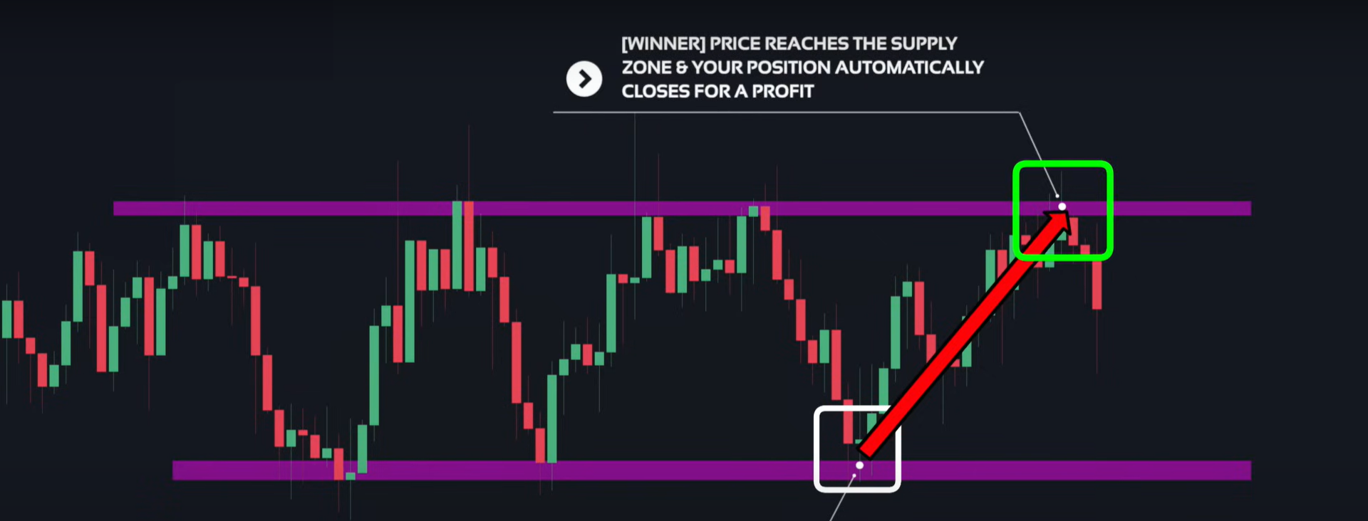 Supply & Demand (Wysetrade)-20241230143555344.webp