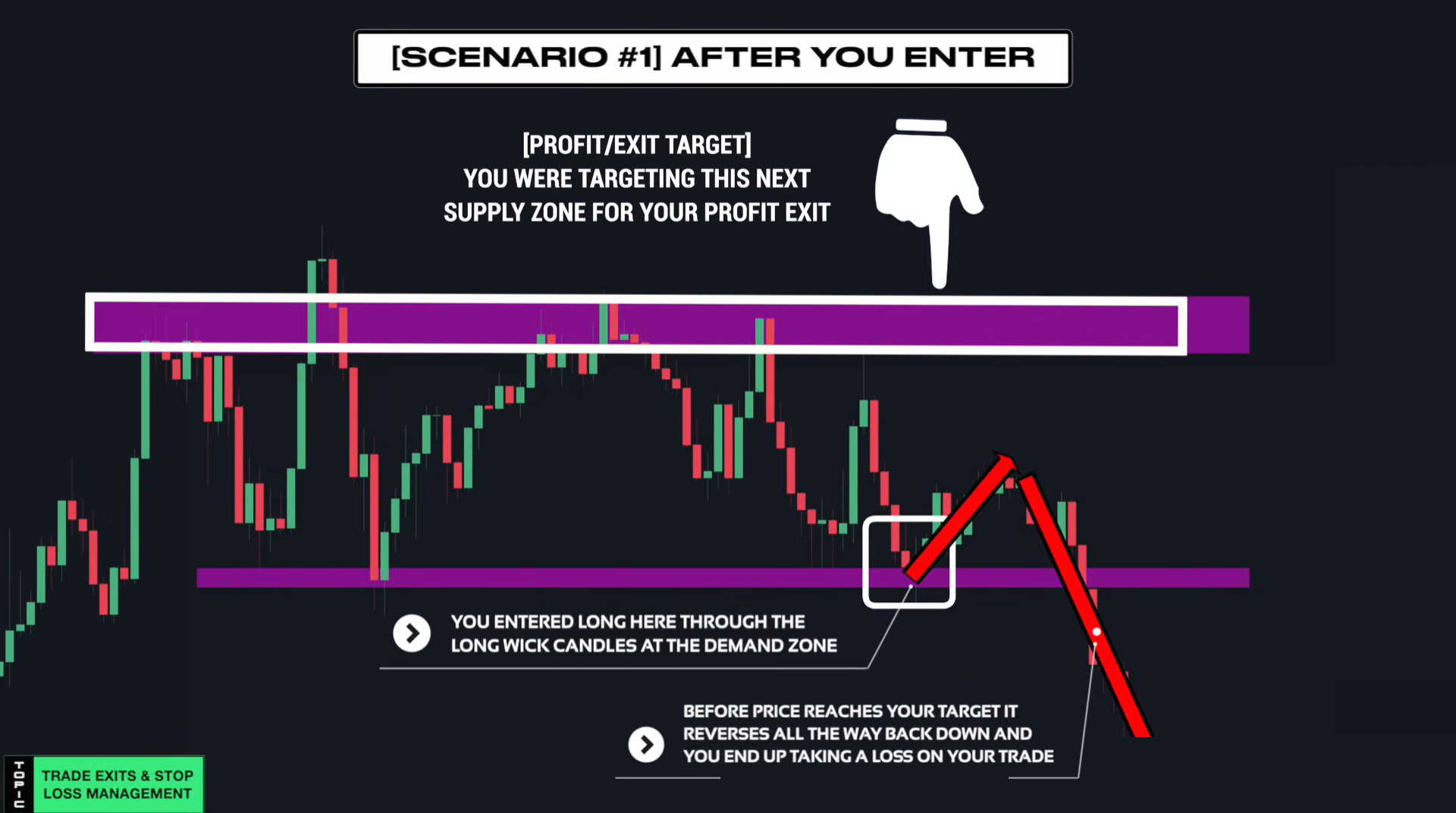 Supply & Demand (Wysetrade)-20241230143814445.webp