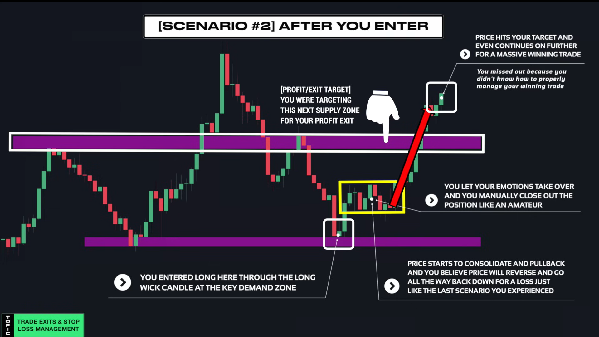 Supply & Demand (Wysetrade)-20241230143941299.webp