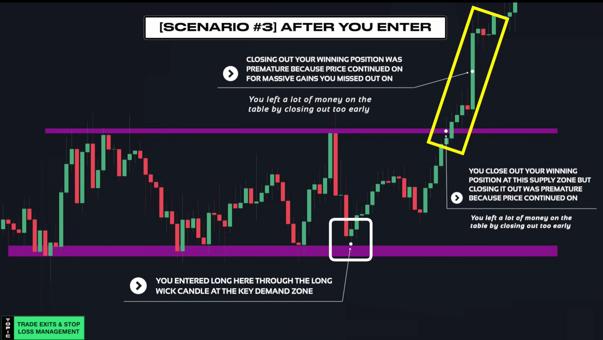 Supply & Demand (Wysetrade)-20241230144131780.webp