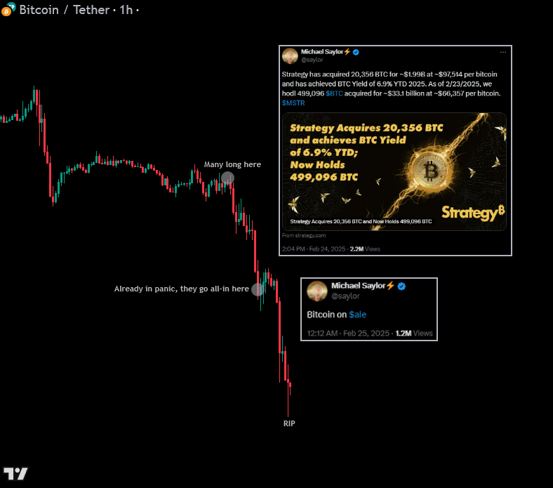 Whale Manipulation🐋-20250228111706771.webp