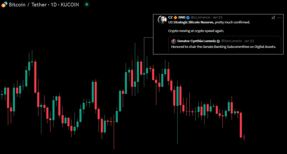 Whale Manipulation🐋-20250228111801777.webp